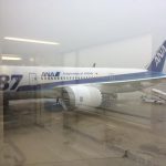 2017年12月  沖縄 1日目① / 大阪国際空港(伊丹空港)出発→那覇空港到着 編