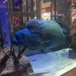 2017年12月 沖縄 1日目③ / イオンモール沖縄ライカムで買い出し→フィッシングステップ名護店→美ら海オンザビーチMOTOBU 到着 編