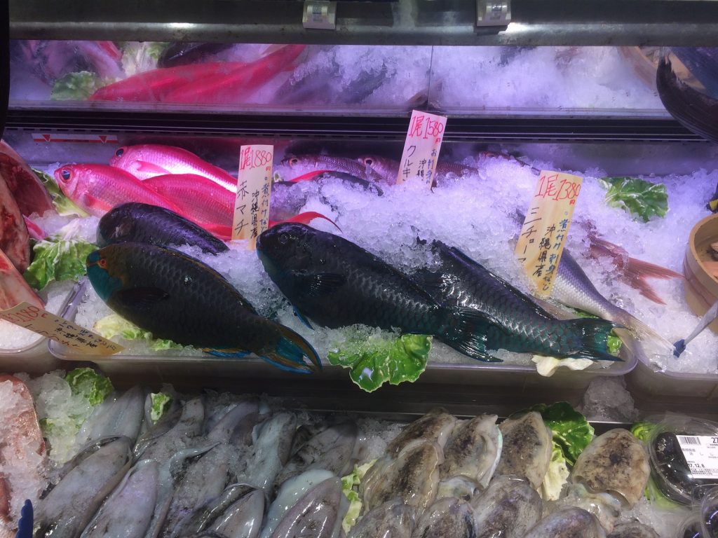 イオンモール沖縄ライカムの鮮魚売り場にて、沖縄の魚たち